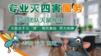 消毒|灭蟑螂|灭老鼠|灭白蚁|摘马蜂窝|臭虫灭跳蚤|白蚁防治