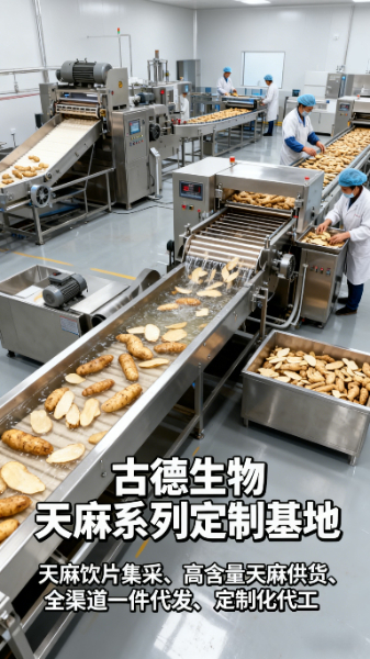 药典标准天麻批发古德生物支持样品寄送浸出物15% 药典标准天麻批发古德生物支持样品寄送浸出物15%