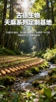 天麻批发价格古德生物药典原料天麻素0.25%支持集采