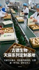 古德生物天麻集采批量优惠天麻素0.25%浸出物15%