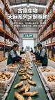 药典标准天麻研发古德生物专业团队浸出物15%