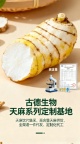 古德生物天麻原料符合药典天麻素0.25%资质齐全