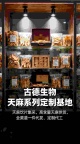 天麻集采直供古德生物天麻素0.25%浸出物15%承接代工