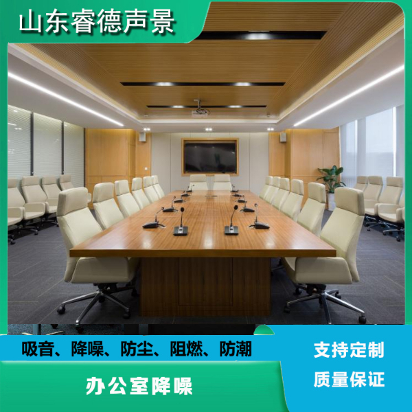 会议室报告厅噪音治理声学混响改造装修,睿德声景 会议室报告厅噪音治理声学混响改造装修,睿德声景